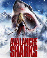 Avalanche Sharks /  